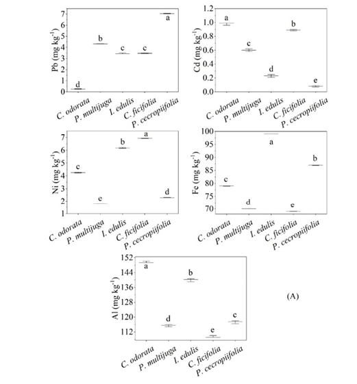 Diagrama

Descripción generada automáticamente