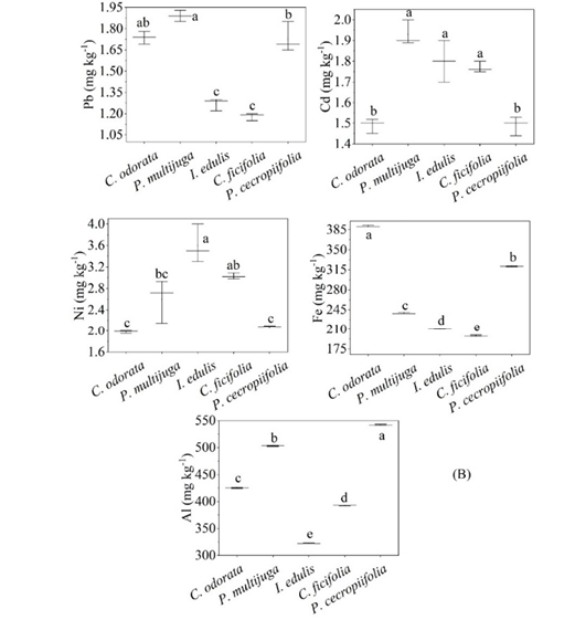 Diagrama

Descripción generada automáticamente